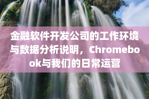 金融软件开发公司的工作环境与数据分析说明，Chromebook与我们的日常运营