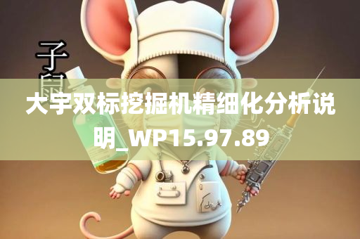 大宇双标挖掘机精细化分析说明_WP15.97.89