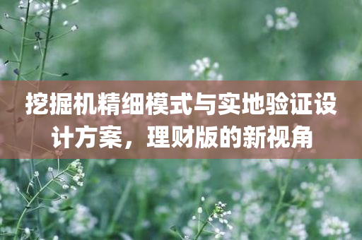 挖掘机精细模式与实地验证设计方案，理财版的新视角