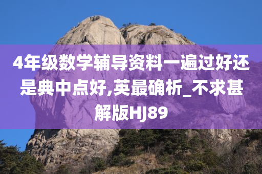 4年级数学辅导资料一遍过好还是典中点好,英最确析_不求甚解版HJ89