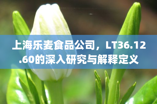 上海乐麦食品公司，LT36.12.60的深入研究与解释定义