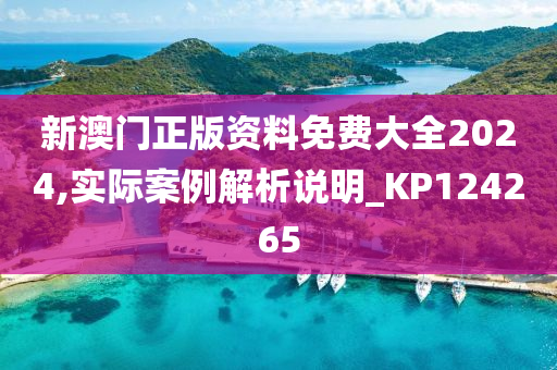 新澳门正版资料免费大全2024,实际案例解析说明_KP124265