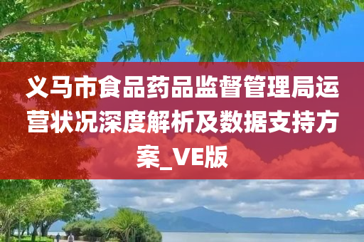 义马市食品药品监督管理局运营状况深度解析及数据支持方案_VE版