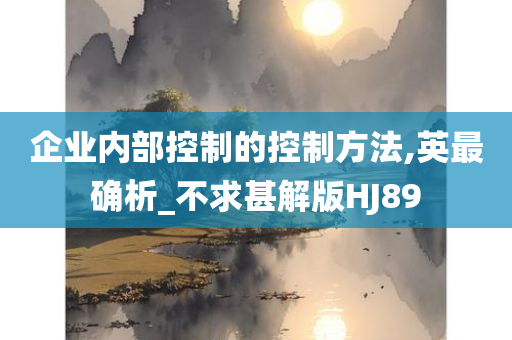 企业内部控制的控制方法,英最确析_不求甚解版HJ89