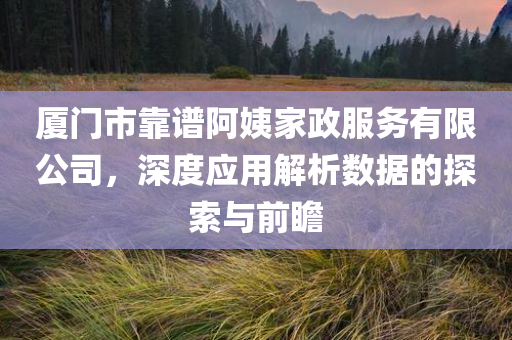 厦门市靠谱阿姨家政服务有限公司，深度应用解析数据的探索与前瞻