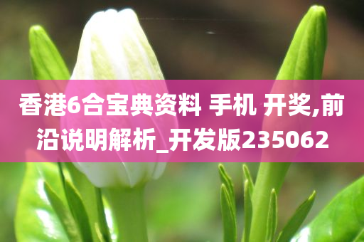 香港6合宝典资料 手机 开奖,前沿说明解析_开发版235062