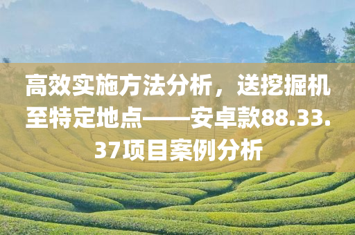 高效实施方法分析，送挖掘机至特定地点——安卓款88.33.37项目案例分析