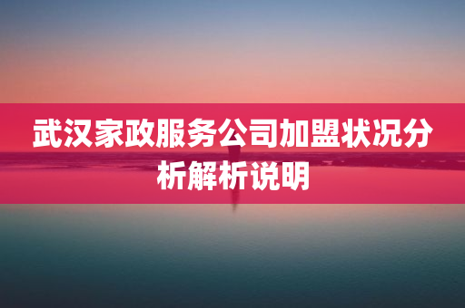 武汉家政服务公司加盟状况分析解析说明