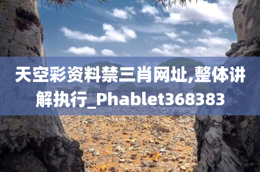 天空彩资料禁三肖网址,整体讲解执行_Phablet368383