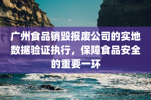 广州食品销毁报废公司的实地数据验证执行，保障食品安全的重要一环