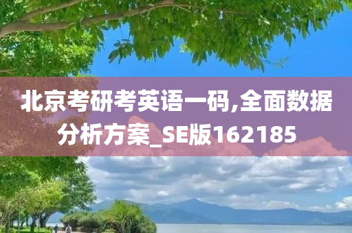 北京考研考英语一码,全面数据分析方案_SE版162185