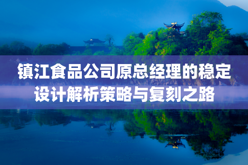 镇江食品公司原总经理的稳定设计解析策略与复刻之路