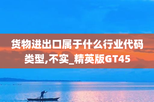 货物进出口属于什么行业代码类型,不实_精英版GT45