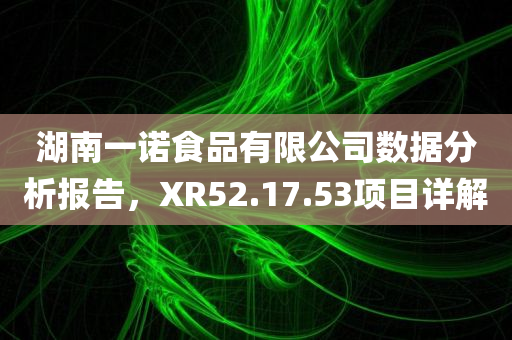 湖南一诺食品有限公司数据分析报告，XR52.17.53项目详解