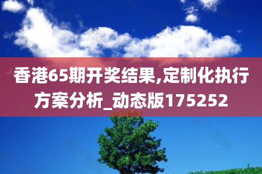 香港65期开奖结果,定制化执行方案分析_动态版175252