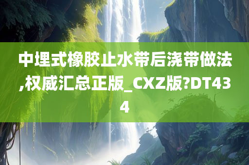 中埋式橡胶止水带后浇带做法,权威汇总正版_CXZ版?DT434