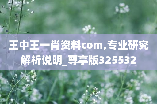 王中王一肖资料com,专业研究解析说明_尊享版325532