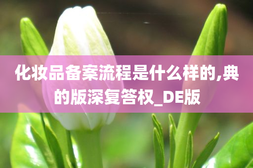 化妆品备案流程是什么样的,典的版深复答权_DE版