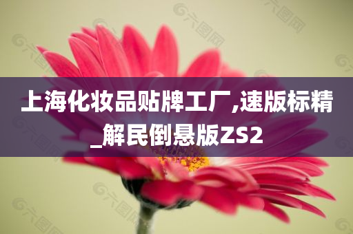 上海化妆品贴牌工厂,速版标精_解民倒悬版ZS2