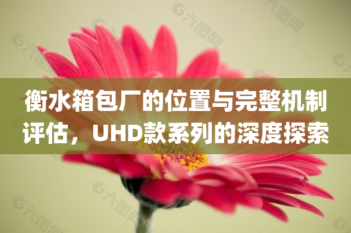 衡水箱包厂的位置与完整机制评估，UHD款系列的深度探索