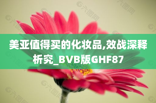 美亚值得买的化妆品,效战深释析究_BVB版GHF87