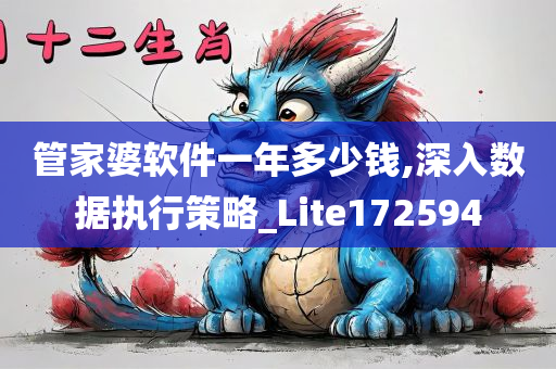 管家婆软件一年多少钱,深入数据执行策略_Lite172594