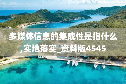 多媒体信息的集成性是指什么,实地落实_资料版4545