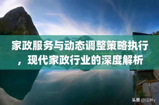 家政服务与动态调整策略执行，现代家政行业的深度解析