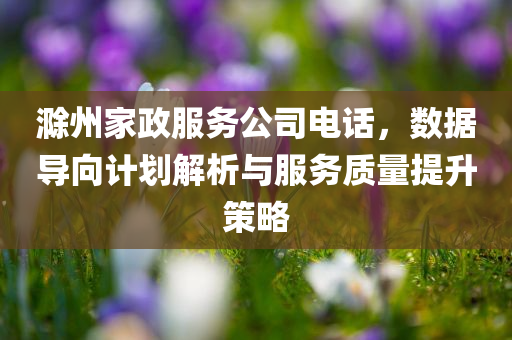 滁州家政服务公司电话，数据导向计划解析与服务质量提升策略