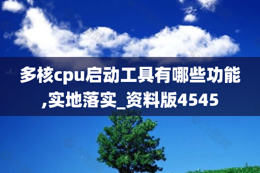 多核cpu启动工具有哪些功能,实地落实_资料版4545