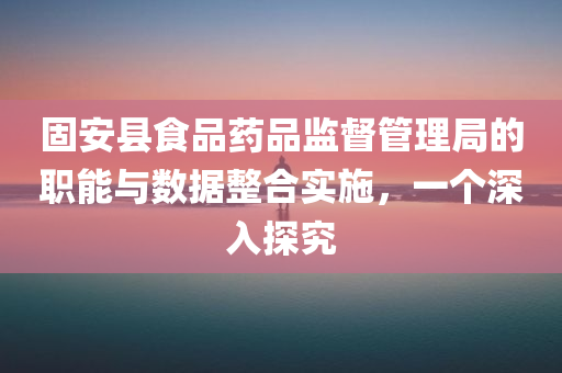 固安县食品药品监督管理局的职能与数据整合实施，一个深入探究