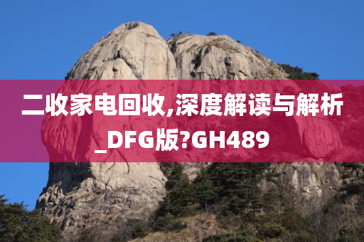 二收家电回收,深度解读与解析_DFG版?GH489