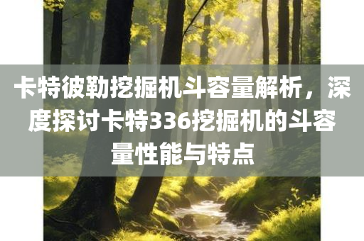 卡特彼勒挖掘机斗容量解析，深度探讨卡特336挖掘机的斗容量性能与特点