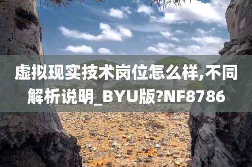 虚拟现实技术岗位怎么样,不同解析说明_BYU版?NF8786