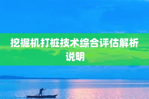 挖掘机打桩技术综合评估解析说明