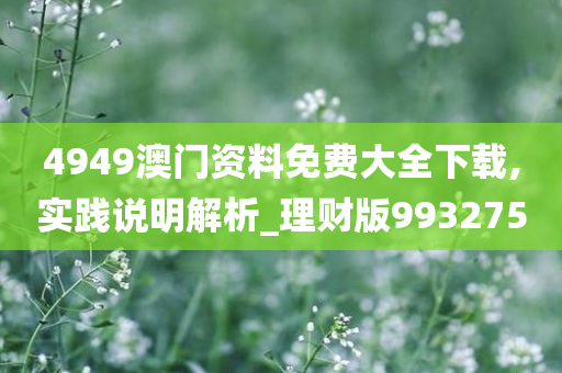 4949澳门资料免费大全下载,实践说明解析_理财版993275