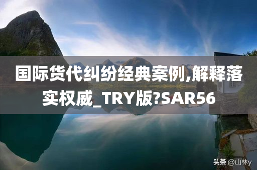 国际货代纠纷经典案例,解释落实权威_TRY版?SAR56