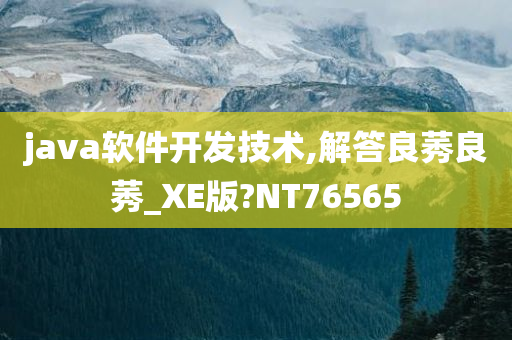 java软件开发技术,解答良莠良莠_XE版?NT76565