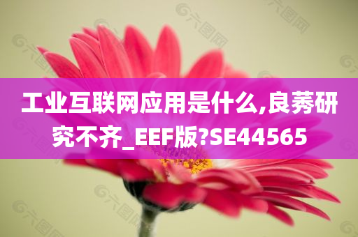 工业互联网应用是什么,良莠研究不齐_EEF版?SE44565