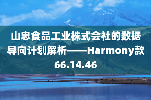 山忠食品工业株式会社的数据导向计划解析——Harmony款66.14.46