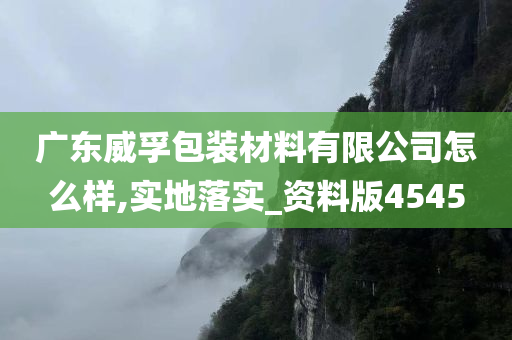 广东威孚包装材料有限公司怎么样,实地落实_资料版4545