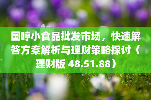 国哼小食品批发市场，快速解答方案解析与理财策略探讨（理财版 48.51.88）