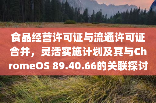 食品经营许可证与流通许可证合并，灵活实施计划及其与ChromeOS 89.40.66的关联探讨