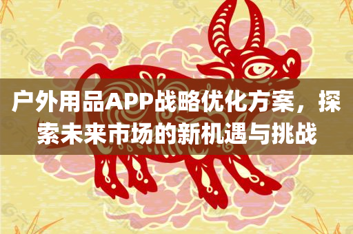 户外用品APP战略优化方案，探索未来市场的新机遇与挑战