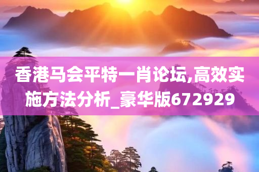 香港马会平特一肖论坛,高效实施方法分析_豪华版672929