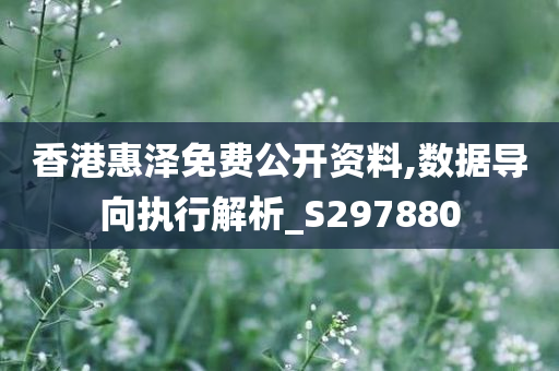 香港惠泽免费公开资料,数据导向执行解析_S297880