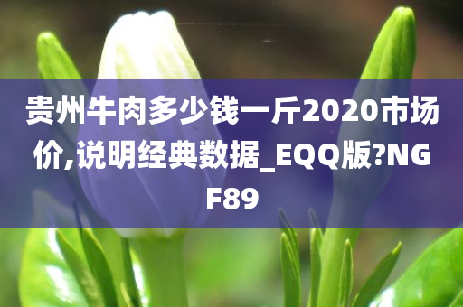 贵州牛肉多少钱一斤2020市场价,说明经典数据_EQQ版?NGF89