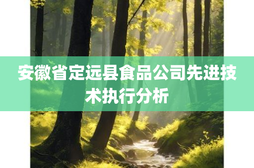 安徽省定远县食品公司先进技术执行分析