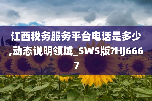 江西税务服务平台电话是多少,动态说明领域_SWS版?HJ6667