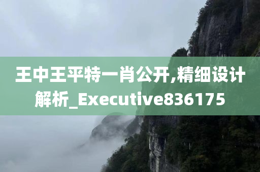 王中王平特一肖公开,精细设计解析_Executive836175